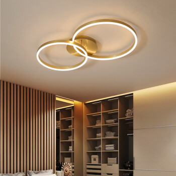 飞雄圆环创意简约现代客厅灯大气家用个性led吸顶灯样板房北欧卧室灯