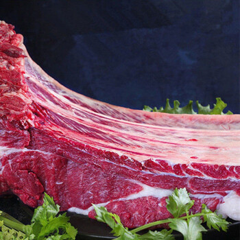 牛排骨新鲜黄牛排骨肉多牛肋排正宗散养黄牛小排顺丰广纳力驰超肉多