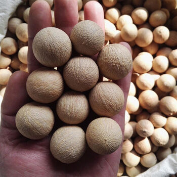 菩提根原籽风化果白玉菩提子佛珠手串手链骰子戒指原料按斤 精选高