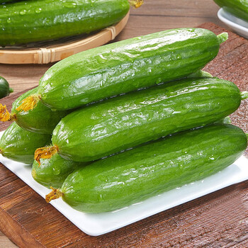 现摘新鲜水果小黄瓜整箱脆嫩小青瓜孕妇蔬菜水果5斤 小黄瓜3斤