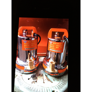 12v直流潜水泵24v48v60v抽水机农用小型浇菜高压电瓶抽水泵72v380w13