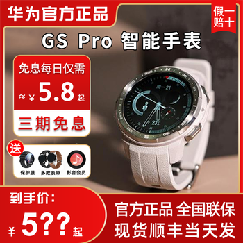 华为荣耀手表gspro血氧压力智能通话gt2运动magic2荣耀手表e 【荒漠灰