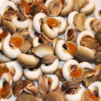 香螺鲜活田螺青岛海鲜水产特产新鲜贝类大田螺小海螺泥螺半斤尝鲜装