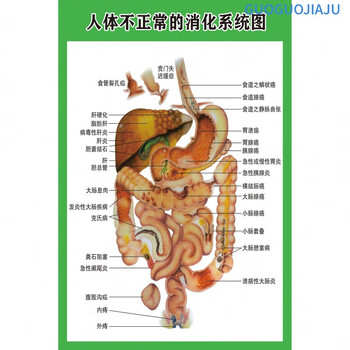 京东网上商城