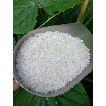 虹弦见流沙瀑布沙砂专用白沙鱼缸底沙化妆沙造景沙石英沙天然水晶沙