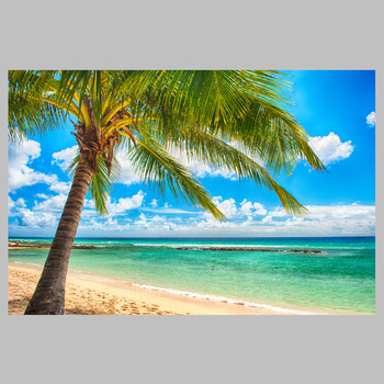 狼天影  海景马尔代夫海报墙贴画田园风光自然风景草地宿舍卧室房间