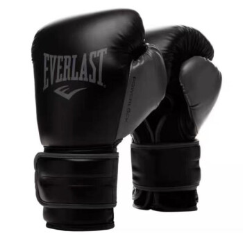 EVERLAST Powerlock2ȭ׳רҵѵȭŮɢȭȭ ɫ 16OZ