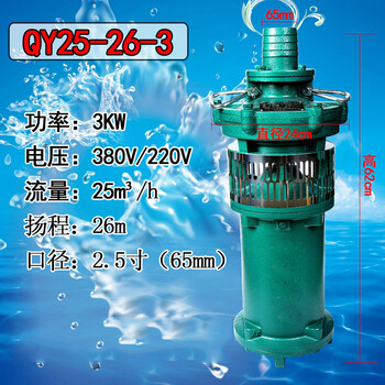 油浸式潜水泵380v农用灌溉高扬程大流量抽水机三相深井国标3kw25寸