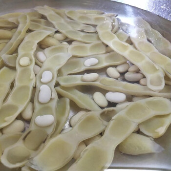 广西新鲜狗儿豆狗爪豆5斤农家特产现摘龙爪豆虎老豆狗毛豆猫猫豆 2斤