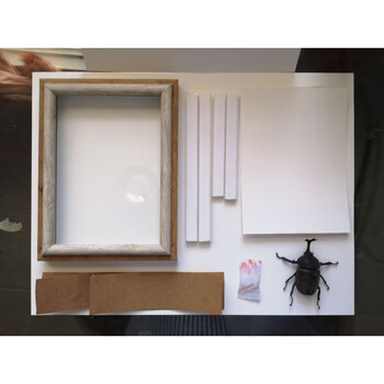 昆虫标本制作工具套装新品儿童diy手工蝴蝶标本制作工具标本相框材料昆虫针展翅板镊子独角仙制作材料包其他正方形尺寸独立 图片价格品牌报价 京东