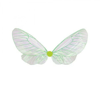 万代女孩成人蝴蝶维密翅膀煽动仙女彩蝴蝶肩背透明精灵奇妙花仙子模特