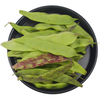 顺丰速运辽宁特产东北油豆角新鲜蔬菜九月青25kg一箱五斤