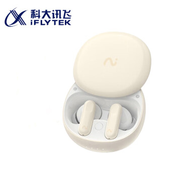 ƴѶɣiFLYTEK ¼ FLYBUDS Nano XFXK-A06 °