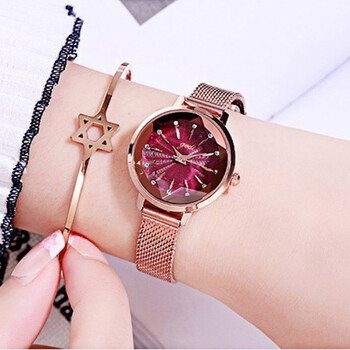 歌迪gedi新款女士手表韩版女生手表简约时尚小巧网带时装表大气学生