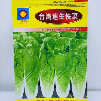 娃娃菜种子小白菜黄心娃娃菜种籽小型白菜种子高产台湾速生快菜10克