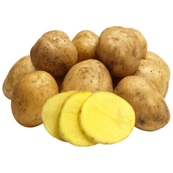 云南新鲜土豆大洋芋黄心土豆新鲜马铃薯生鲜 新鲜蔬菜 健康轻食 大号