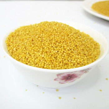 蔚县黄小米5斤蔚州8311小黄米粮食杂粮2022年新米小米粥