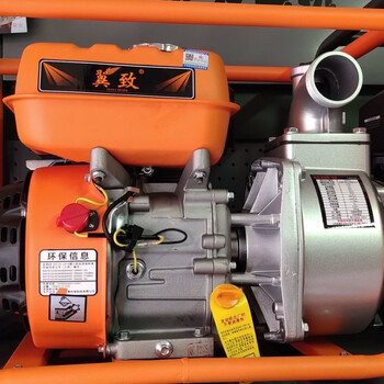 5寸农用高扬程大流量灌溉浇菜淋菜神器抽水机 170四冲程2寸(裸机)