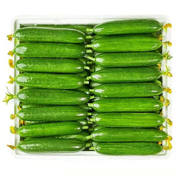水果小黄瓜新鲜采摘寿光无刺荷兰黄瓜青瓜蔬菜生吃整箱3斤精品货精选