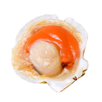 扇贝鲜活带壳超大半壳夏威夷贝虾夷贝特大扇贝新鲜蒜蓉粉丝扇贝肉五斤