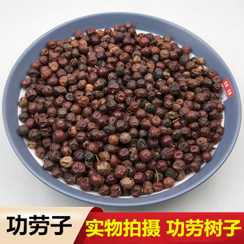 功劳子 500g 中药材 功劳树子 枸骨子 十大功劳子 猫儿刺子