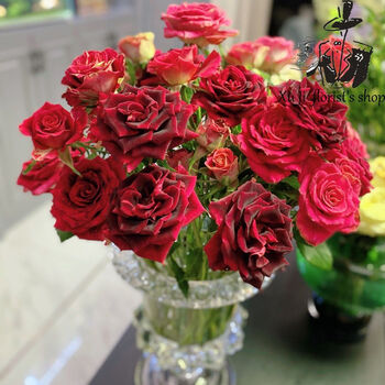 云南昆明基地直发速递全国配家用水养玫瑰泡泡小玫瑰蔷薇鲜花猩红多头