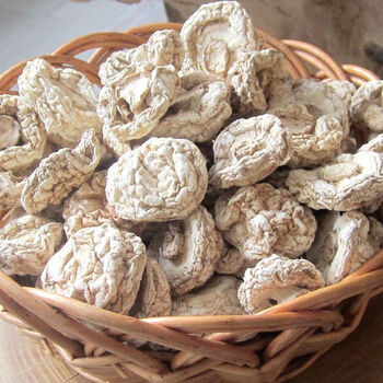 5折 坝上草原蘑菇干 200g/袋 内蒙古特产坝上草原蘑菇干口蘑白蘑菇丁