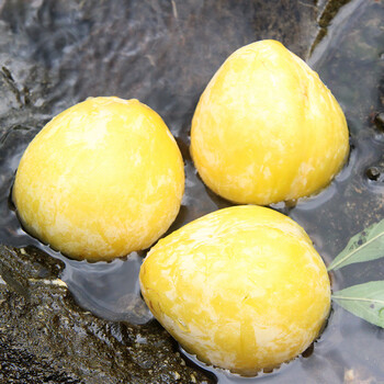 佳农goodfarmer正宗黄金奈李汝城文明新鲜孕妇水果冰糖蜂蜜脆甜大果