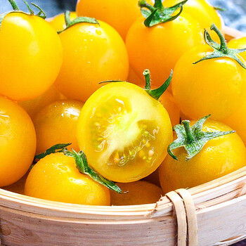 顺丰速发 千禧黄色圣女果夏日阳光新鲜小番茄生吃脆甜西红柿新鲜自然