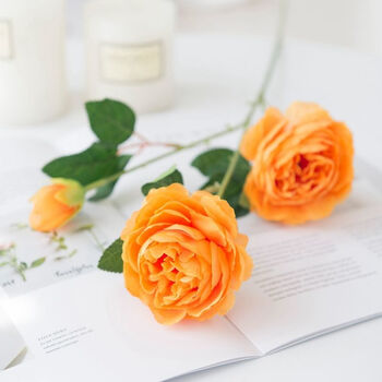 5枝装玫瑰花束3头牡丹家居客厅落地装饰干花假花绢花摆件橘色6支含义