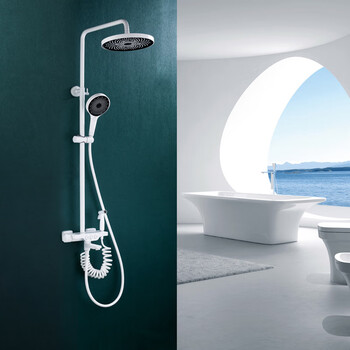 科勒(kohler)黑色恒温淋浴花洒套装全铜家用浴室增压升降挂墙式淋浴器