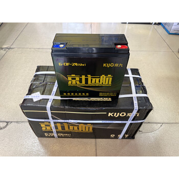 大阳专用京九远航60v24ah72v48v电动车铅酸电池三轮车电瓶车 60v24ah