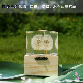 优临蒲公英花标本蒲公英标本立方体雏菊植物真花树脂摆件水晶滴胶成品永生花镇纸5cm蒲公英标本带木盒 图片价格品牌报价 京东 优临蒲公英花标本蒲公英标本立方体雏菊植物真花树脂摆件水晶滴胶成品永生花镇纸5cm蒲公英标本带木盒 图片价格品牌报价 京东