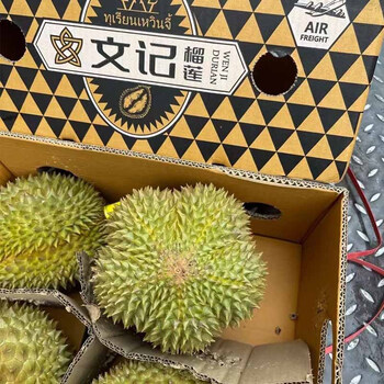 果农侠 顺丰空运 当季泰国进口文记金枕软金月榴莲整个带壳新鲜水果