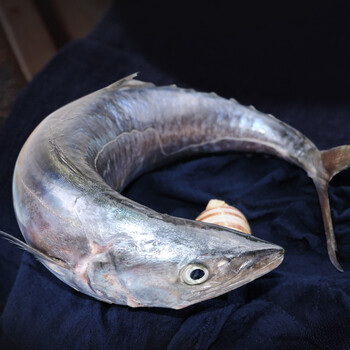 叁时鲜 马鲛鱼2斤(1-1.