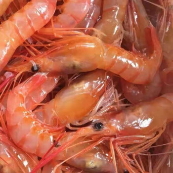 利妙财风新鲜红虾鲜活船冻大红虾可生吃昌盛隆小红虾2斤每斤约70只