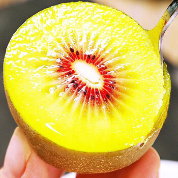 四川蒲江红阳红心猕猴桃  奇异果新鲜水果 6粒【美味试吃】