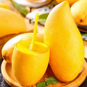 蔬教授云南鹰嘴芒果新鲜大果孕妇水果当季新鲜 9斤 【超值装】单果约
