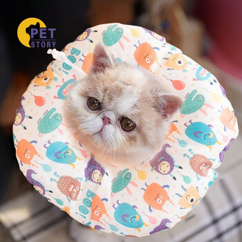 petofstory幼小猫伊丽莎白圈