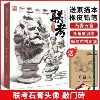 【】联考石膏头像2020敲门砖头骨肌肉五官局部结构大关系完整稿步骤对照范