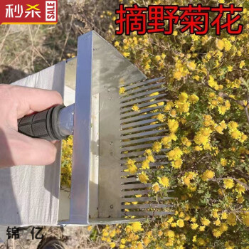 野菊花采摘机器图片