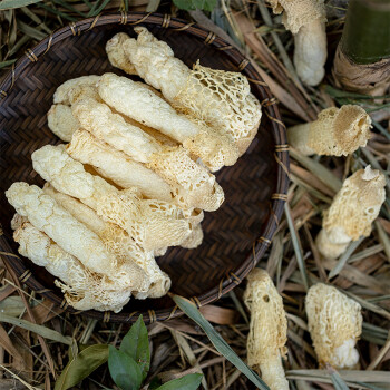 丨紅託竹蓀50g 貴州畢節織金短裙竹笙竹筍菌火鍋煲湯乾貨食材