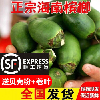 顺丰空运青槟榔青果生槟榔青嫩100克空运海南特产青嫩槟榔生果生槟榔