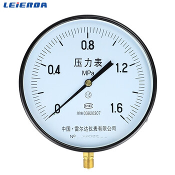 雷尔达超大表盘压力表y250普通压力表气压液压通用表盘25公分 leierda