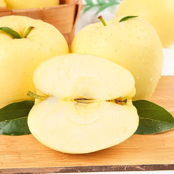 山寻山予甘肃天水黄金帅苹果特大黄元帅脆甜应季新鲜水果85mm含90mm不