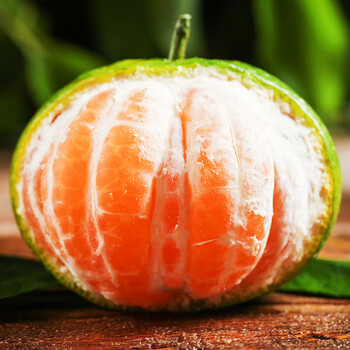 蔬教授广西桂林无籽蜜橘新鲜水果当季整箱沙糖桔子青皮0g净重5斤大果