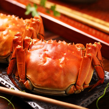 活蟹阳澄湖大闸蟹4两纯母满黄8只现货鲜活湖蟹礼盒装