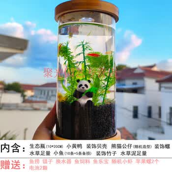 生态瓶小型创意鱼缸办公桌面微景观迷你diy小鱼缸小学生作业礼物带底座大长直瓶 白光灯水草泥款 图片价格品牌报价 京东 生态瓶小型创意鱼缸办公桌面微景观迷你diy小鱼缸小学生作业礼物带底座大长直瓶 白光灯水草泥款 图片价格品牌报价 京东