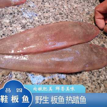 鲜礼四海吕四野生方板鱼龙利鱼肉踏鱼比目鱼生鲜海鲜1斤上