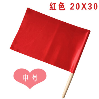 然修六一儿童幼儿园课间操做早操道具舞蹈红彩旗活动旗帜木柄小旗子中